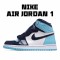 Air Jordan 1 Retro Blue Chill CD0461 401 AJ1 Unisex Blue White Black Jordan 