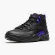 Air Jordan 12 Retro Dark Concord Black/Black Dark Concord CT8013-005