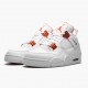 Air Jordan 4 Retro Metallic Orange White/Team Orange Metallic Sil CT8527-118