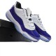 Air Jordan 11 Low "Concord" White/Navy AJ11 AH7860 100